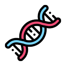 Illustration stylisée d'une double hélice d'ADN avec des bandes torsadées de couleurs rose et bleue, entourées de points noirs.